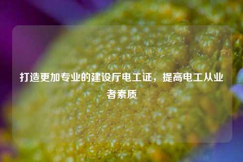打造更加專業(yè)的建設廳電工證，提高電工從業(yè)者素質-圖1
