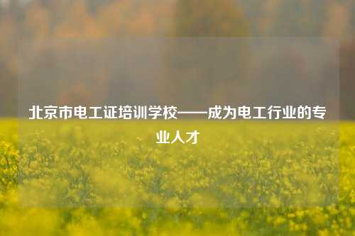 北京市電工證培訓(xùn)學(xué)?！蔀殡姽ば袠I(yè)的專業(yè)人才-圖1