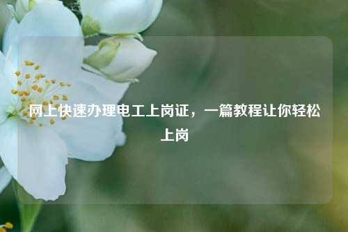 網(wǎng)上快速辦理電工上崗證，一篇教程讓你輕松上崗-圖1