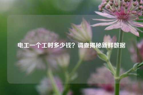 電工一個工時多少錢？調查揭秘新鮮數據-圖1