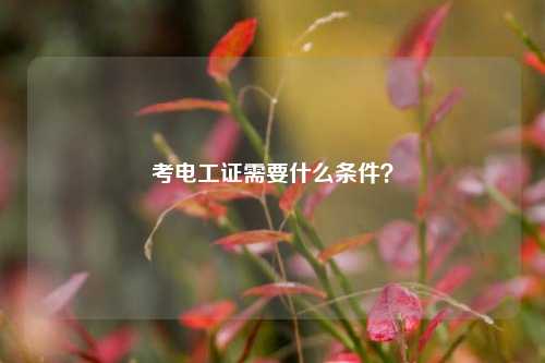 考電工證需要什么條件？-圖1