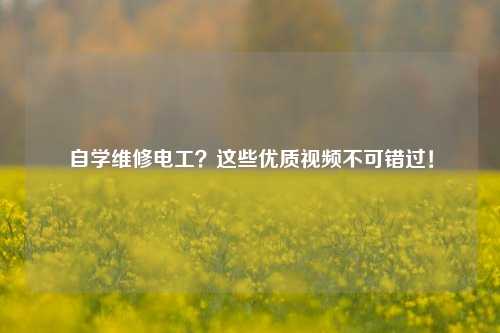 自學(xué)維修電工？這些優(yōu)質(zhì)視頻不可錯(cuò)過！-圖1