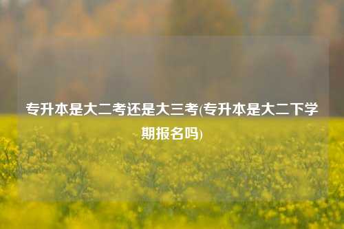 專升本是大二考還是大三考(專升本是大二下學(xué)期報(bào)名嗎)-圖1