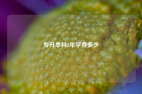 專(zhuān)升本科2年學(xué)費(fèi)大概要花多少-圖1